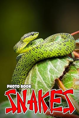 Livre photo de serpents : une collection d'images étonnantes pour tous les âges pour s'amuser et se détendre | idée cadeau pour enfants, garçons, filles. La boutique en ligne DIAYTAR COTE D'IVOIRE propose une expérience d'achat unique et personnalisée à ses clients. Avec plus de 300 000 références de produits, les clients peuvent trouver tout ce dont ils ont besoin, du divertissement aux produits de tous les jours. Les équipes de DIAYTAR COTE D'IVOIRE sont à l'écoute des clients pour répondre à leurs besoins et leur offrir un service de qualité.