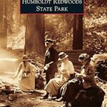 Parc d'état de humboldt redwoods