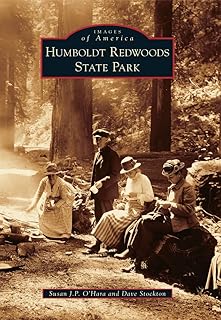 Parc d'état de humboldt redwoods