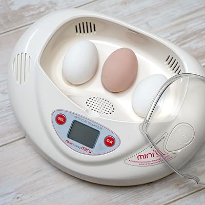 Incubateur rcom mini pro avec contrôle automatique de la température, px-03, fabriqué en corée, distributeur local aux émirats arabes unis. DIAYTAR COTE D'IVOIRE est une boutique en ligne généraliste qui propose plus de 300 000 références de produits divers, faisant d'elle la boutique leader en Cote d'Ivoire. Elle offre une large gamme de produits allant de l'électronique à la mode en passant par les produits alimentaires. Avec une telle variété, les clients peuvent trouver tout ce dont ils ont besoin en un seul endroit.