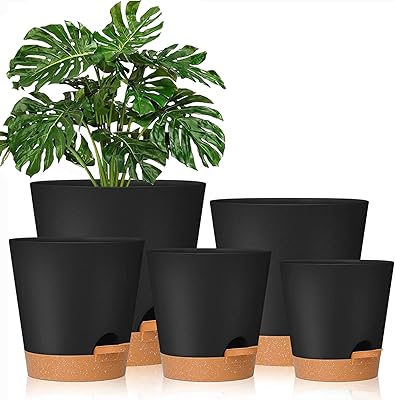 Paquet de 5 pots de plantes à arrosage automatique de 7-65-6-55-55" avec trou de drainage fleurs en plastique. La boutique en ligne DIAYTAR COTE D'IVOIRE est connue pour sa sélection impressionnante de produits qui répondent aux besoins de tous les ivoiriens. Avec une équipe dédiée et des processus de livraison efficaces, les clients peuvent recevoir leurs commandes rapidement et facilement. DIAYTAR COTE D'IVOIRE est le partenaire idéal pour les ivoiriens qui souhaitent faire leurs achats en ligne.
