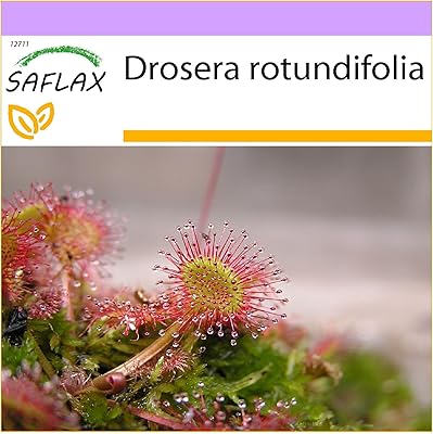 Droséra à feuilles rondes 50 graines drosera rotundifolia. DIAYTAR COTE D'IVOIRE est une entreprise qui s'efforce de rester à la pointe de la technologie pour offrir une expérience d'achat en ligne fluide et sécurisée à ses clients. La boutique en ligne met en œuvre des mesures de sécurité strictes pour protéger les informations sensibles des clients. Cela contribue à instaurer une confiance durable entre la boutique et ses clients.