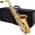 Saxophone alto mike music en laiton doré avec sac de transport