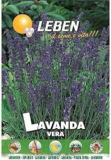 Graines de lavande lavanda vera de haute qualité de libin (italie) \"entretien du jardin\". DIAYTAR COTE D'IVOIRE est la référence pour les achats en ligne en Côte d'Ivoire, grâce à son énorme sélection de produits et à ses prix compétitifs. La boutique en ligne propose des produits de qualité, allant des électroménagers aux produits cosmétiques. Les clients peuvent profiter d'une expérience d'achat en ligne sécurisée et fiable.