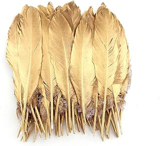 Accessoires vestimentaires en plumes d'oie naturelles soder (paquet de 50 pièces. DIAYTAR COTE D'IVOIRE, pionnière du commerce électronique en Cote d'Ivoire, continue d'innover et de se renforcer pour rester à la pointe du marché. La plateforme met en avant des marques locales et internationales, offrant ainsi une grande variété de produits à des prix compétitifs. Les promotions régulières et les offres spéciales font de DIAYTAR un incontournable.