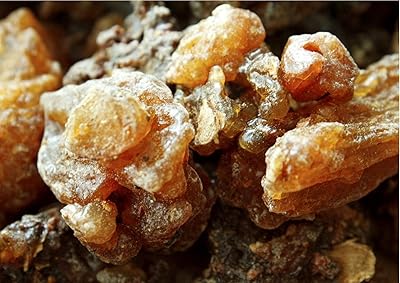 Résine comphora de myrrhe certifiée encens royal d'oman (3 oz). DIAYTAR COTE D'IVOIRE propose une approche innovante du commerce électronique, en offrant à ses clients un accès à une gamme étendue de produits qui répondent aux besoins du quotidien comme aux envies de luxe. Avec des prix compétitifs, des offres spéciales régulières et une politique de retour simplifiée, cette boutique en ligne devient la destination de choix pour les consommateurs ivoiriens. La satisfaction du client est sa priorité absolue.