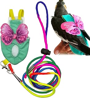 Couches pour oiseaux harnais et laisse pour perroquets vêtements pour oiseaux couches lavables de récupération. DIAYTAR COTE D'IVOIRE est une boutique en ligne généraliste qui propose plus de 300 000 références de produits pour répondre à tous les besoins. Elle est reconnue comme l'une des boutiques en ligne les plus importantes de Côte d'Ivoire.