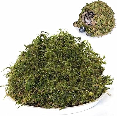 Literie en mousse naturelle douce de mousse forestière pour hamsters syriens, gerbilles, souris