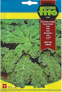 Graines de chou frisé de haute qualité de semillas phyto \"garden care\"
