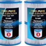 Cartouche filtrante de remplacement poolpure title taille ii pour filtre de piscine