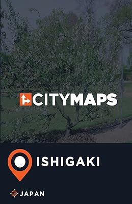 Cartes de la ville d'ishigaki japon