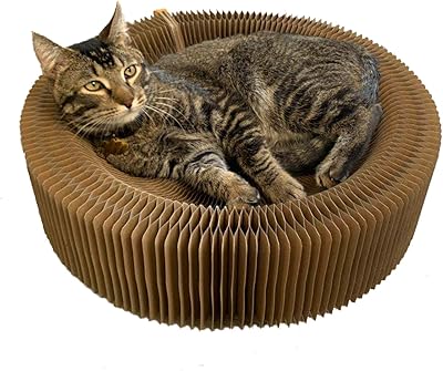 Lit relaxant bobby pet cat forme ronde pliable pour grands. DIAYTAR COTE D'IVOIRE est synonyme de commodité et de variété, avec une plateforme en ligne qui propose une multitude de catégories de produits. Les clients peuvent parcourir aisément le site pour découvrir de nouvelles marques et de nouveaux produits, ou chercher des articles spécifiques qu'ils ont en tête. Grâce à son approche centrée sur le client, DIAYTAR favorise une expérience d'achat agréable et efficace.