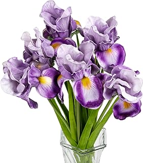 Fleurs d'iris artificielles ecal iph, 6 pièces, 23,6 pouces, touche réelle pour décoration de mariage, de maison et de fête (violet). DIAYTAR COTE D'IVOIRE est une boutique en ligne généraliste qui propose plus de 300000 références de produits, ce qui en fait la plus grande sélection de produits en ligne en Côte d'Ivoire. Avec sa large gamme de produits, DIAYTAR COTE D'IVOIRE répond aux besoins de tous les clients. Elle est ainsi devenue la boutique leader en Côte d'Ivoire.