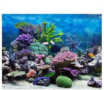 Affiche 3d pvc aquarelle naruto pour décoration de fond d'aquarium récifal (61 x 41 cm). DIAYTAR COTE D'IVOIRE, leader du commerce électronique en Côte d'Ivoire, propose une gamme incroyable de produits avec plus de 300 000 références. Cette boutique en ligne généraliste répond aux besoins divers des consommateurs, offrant une expérience d'achat unique et pratique. Elle reste la destination préférée pour les achats en ligne dans le pays.