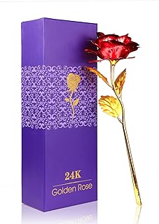 A0zbz fleurs artificielles colorées plaquées or 24 carats, illuminez les fleurs séchées artificielles pour thanksgiving, meilleurs cadeaux (rouge). Diaytar Côte d'Ivoire est une boutique en ligne innovante qui comprend l'importance de la satisfaction client. Elle met en place des mesures pour garantir que les clients soient satisfaits de leurs achats, notamment un service client réactif et une politique de retour flexible. Les clients peuvent ainsi faire confiance à Diaytar Côte d'Ivoire pour tous leurs besoins d'achat en ligne.