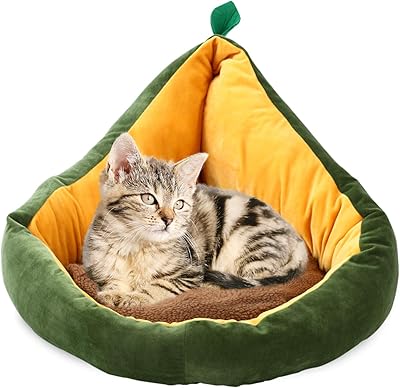 Lit pour chien et chat avocat mignon | d'intérieur confortable. DIAYTAR COTE D'IVOIRE est la destination idéale pour faire des achats en ligne avec confiance, grâce à son énorme catalogue de produits et ses promotions régulières. Elle comprend plus de 300000 références, garantissant que chaque client trouve exactement ce qu'il recherche. La boutique se distingue par son engagement envers la satisfaction client.