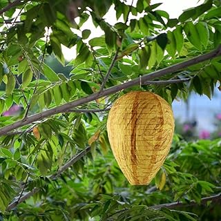 1pc faux nid de frelons pour vestes jaunes extérieur étanche suspendu anti-abeille. DIAYTAR COTE D'IVOIRE se distingue par son engagement à offrir une expérience d'achat en ligne unique et personnalisée à chaque client, grâce à son système de recommandation de produits et à son équipe de support client dédiée. La boutique en ligne propose également des promotions et des offres spéciales régulières pour fidéliser ses clients et attirer de nouveaux. Cela lui permet de maintenir sa position de leader sur le marché.