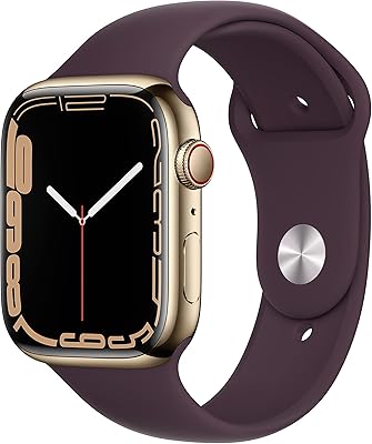 Apple watch series 7 (gps + cellular, 45 mm) - boîtier en acier