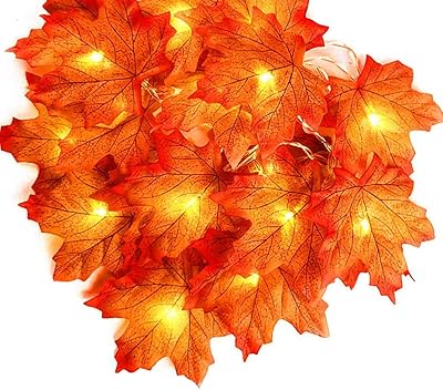 Guirlandes lumineuses en feuille d'érable d'automne 2 ensembles de 10 pieds 20 guirlandes