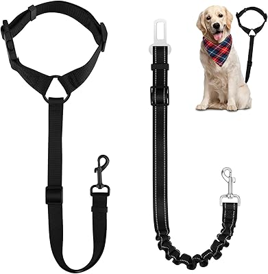 Ceinture de sécurité réglable en 2 pièces pour chien et animal de compagnie