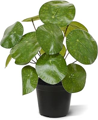 Bloom post plante pilea artificielle 20 cm décorative parfaite pour la de ́coration