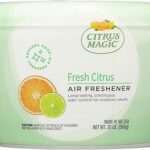 Désodorisant solide citrus magic, paquet de 1, 596 ml