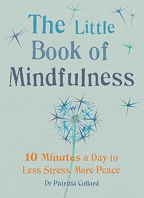 Le petit livre de la pleine conscience : 10 minutes par jour