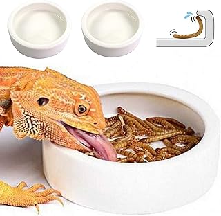 Bol de nourriture pour reptiles, plat d'eau pour vers, lézards et gecko, petite
