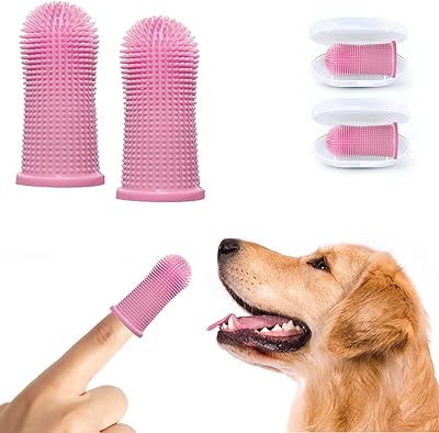 Ensemble de brosses à dents en silicone pour chien 360