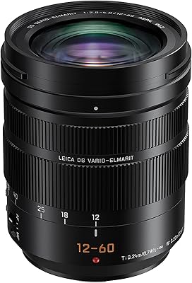 Panasonic lumx h-es12060e objectif zoom standard 12-60 mm leica dg vario elmarit