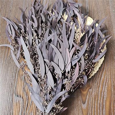 140g/50-60cm feuille de millet d'eucalyptus préservée par la nature, plante florale, fleur sèche