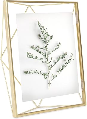 اومبرا اطار صور متعدد الالوان، 28295432962