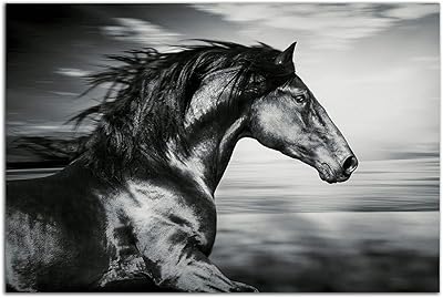 Art mural en verre startnight - magnifique décor de cheval noir - illustration