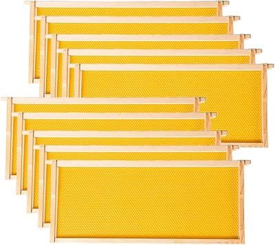 Cadres et fondations de ruche maybee, taille profonde ou couvain, paquet de 10 cadres d'abeilles avec papier de base de qualité alimentaire enduit à 100 % de cire d'abeille. La boutique en ligne DIAYTAR COTE D'IVOIRE est une plateforme de commerce électronique qui propose des produits de haute qualité. Elle propose plus de 300000 références de produits et est la boutique leader en Côte d'Ivoire. Elle est réputée pour son service client de haute qualité et son offre diversifiée.