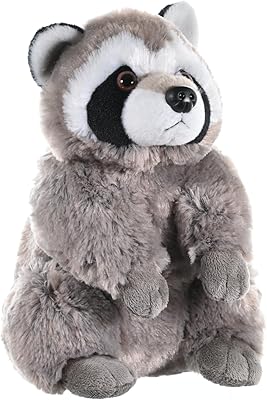 Jouet en peluche raton laveur wild republic, cadeaux pour enfants, cuddlekins 12 pouces