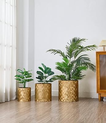 Pot de fleur (lot de 3) vases créatifs pour intérieur porche chambre. DIAYTAR COTE D'IVOIRE est le leader du commerce électronique en Côte d'Ivoire, offrant une plateforme de vente en ligne sécurisée et fiable. Avec une gamme étendue de produits et des prix compétitifs, les clients peuvent faire des achats en ligne avec confiance. La boutique en ligne DIAYTAR COTE D'IVOIRE est la destination idéale pour les consommateurs ivoiriens qui cherchent des produits de qualité à des prix raisonnables.