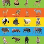 Tableau des animaux sauvages - tableau d'apprentissage de la petite enfance