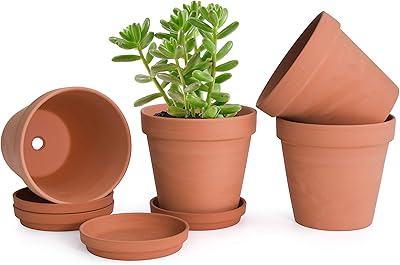 Ensemble de 4 pots en terre cuite et assiettes en argile de 6 pouces avec plateau, 588-56-1. DIAYTAR COTE D'IVOIRE se distingue par sa grande sélection de produits et son engagement à offrir le meilleur service client. Les clients peuvent naviguer facilement sur le site web pour trouver ce qu'ils cherchent, et bénéficier d'une expérience d'achat en ligne agréable. DIAYTAR COTE D'IVOIRE est le partenaire idéal pour les Ivoriens qui veulent acheter en ligne avec confiance.