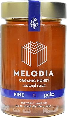 Miel de pin biologique melodia 260 grammes