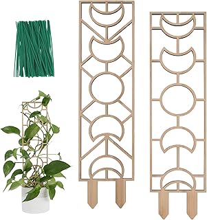 Treillis pour plantes grimpantes, petit treillis en bois de 16" pour plantes en pot avec film résistant à l'humidité pour vigne domestique et lierre, lune et motif géométrique. DIAYTAR COTE D'IVOIRE contribue à promouvoir le commerce électronique en Côte d'Ivoire, en offrant aux clients la possibilité de faire des achats pratiques et abordables, tout en favorisant l'accès à des produits de qualité.