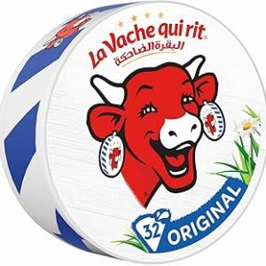 Triangles de fromage à tartiner originaux la fache qui rey, 32 pièces, 480