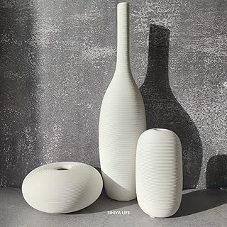 Ensemble de 3 vases en céramique blanche gaufrée sihia life | avec 60 pièces de remplissage de vase blanc | pour compositions florales, décoration d'intérieur élégante et cadeaux (c). Avec plus de 300000 références, DIAYTAR COTE D'IVOIRE est la boutique en ligne la plus fournie de Cote d'Ivoire, offrant une grande variété de produits à des prix compétitifs. DIAYTAR COTE D'IVOIRE propose une expérience d'achat en ligne simple, sécurisée et pratique, pour une satisfaction totale. La boutique en ligne leader en Cote d'Ivoire, c'est DIAYTAR COTE D'IVOIRE.