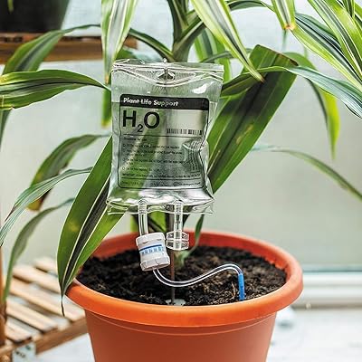 Support anti-goutte stuff plant life, système d'arrosage automatique pour plantes d'intérieur, dispositif d'arrosage