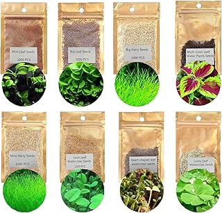 Sammoo aquatics water grass plant seeds fish tank aquarium landscape décoration, facile à