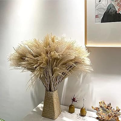 Wkhs herbe de pampa séchée naturelle pour la décoration de la maison