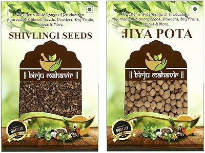 Ensemble birju mahavir - putra jeevak beige et shivlingi beige 100 g chacun