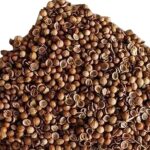 Pack de variétés de graines de légumes 150 pièces-sac coriandre nutritives comestibles vertes