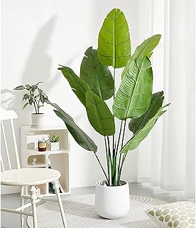 Decorhills plante artificielle monstera strelitzia nikolai, plante de jardin, prune verte pour salon, chambre à coucher, balcon, jardin, bureau (mb-160-10). DIAYTAR COTE D'IVOIRE, c'est plus de 300 000 références à portée de clic, la boutique en ligne généraliste leader en Côte d'Ivoire propose une large gamme de produits pour répondre à vos besoins du quotidien. Avec une sélection de produits de qualité, DIAYTAR vous permet de faire vos courses en ligne en toute confiance. DIAYTAR, c'est la pratique, c'est l'innovation, c'est la facilité !
