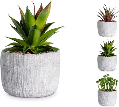 6 plants artificiels en plastique assortis cm11. DIAYTAR COTE D'IVOIRE est une boutique en ligne qui propose une grande sélection de produits pour répondre aux besoins des consommateurs ivoiriens. Avec plus de 300 000 références, la boutique en ligne offre une large gamme de choix pour les achats en ligne, allant des produits de première nécessité aux produits de luxe. Les clients peuvent profiter de promotions et de réductions exclusives sur une large gamme de produits.