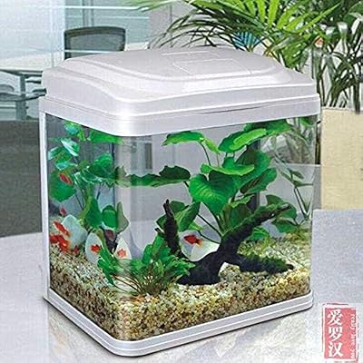 Jeepo qr-223 petit aquarium en verre blanc, taille 23,5 * 16,5 * hauteur 27,5 cm, adapté à la maison et au bureau. Chez Diaytar Côte d'Ivoire, nous nous efforçons de rendre votre expérience d'achat en ligne aussi pratique et agréable que possible. Avec plus de 300 000 références disponibles, vous pouvez facilement trouver ce que vous cherchez dans notre boutique en ligne. Nous vous offrons des prix compétitifs, des promotions régulières et un service client de haute qualité.